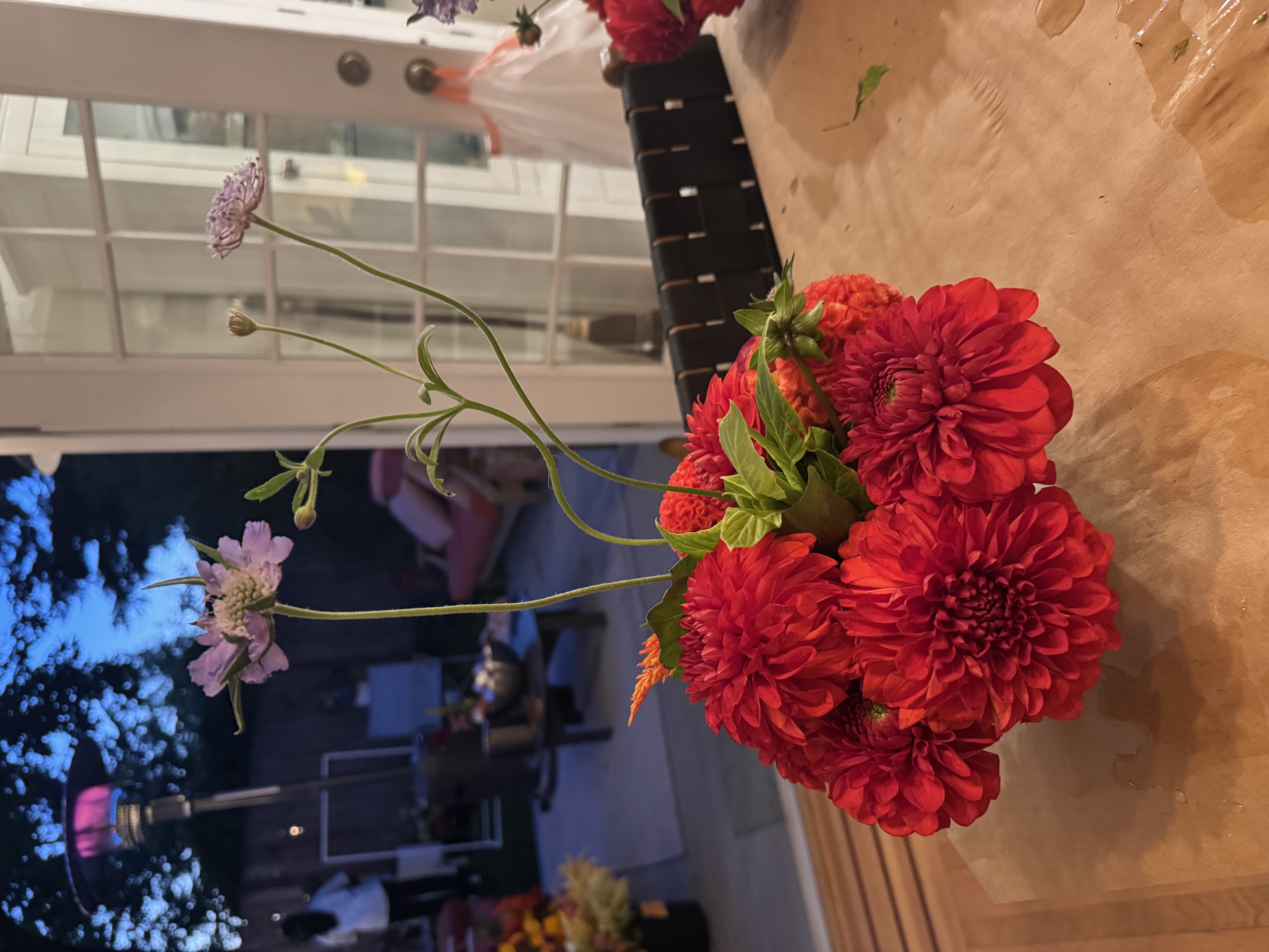 Editorial abstract floral close-up in soft pastels